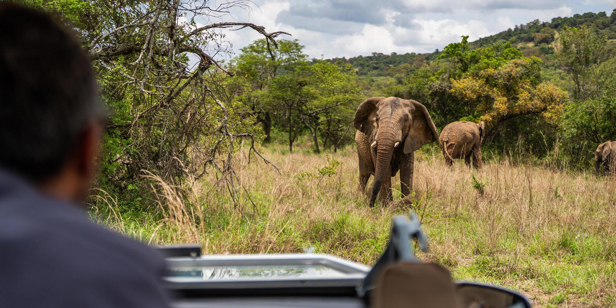 Akagera National Park