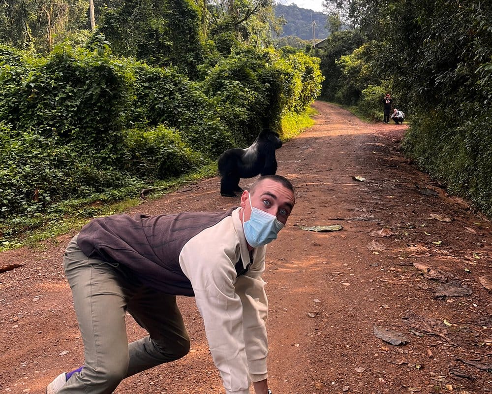 Gorilla trekking experience