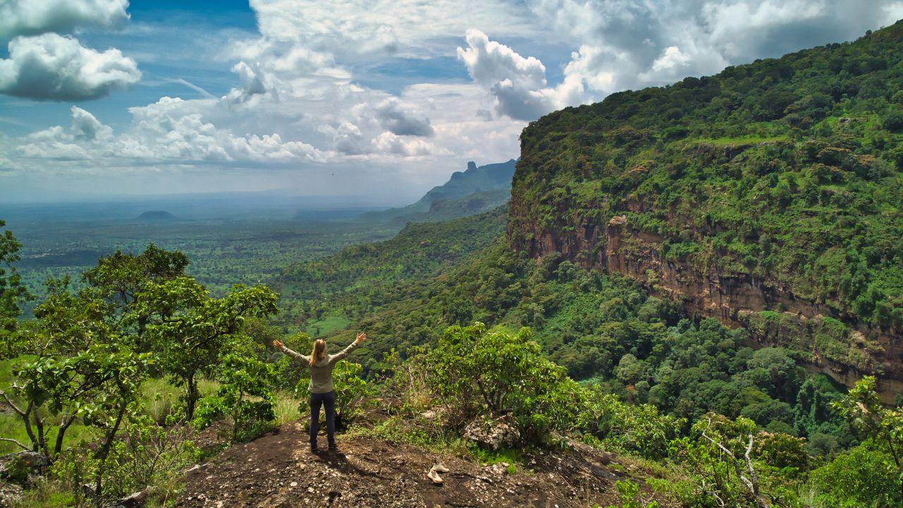Tailor-made safari experience