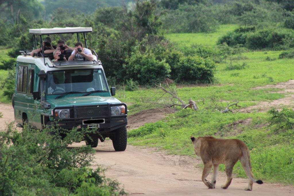 Luxury safari services