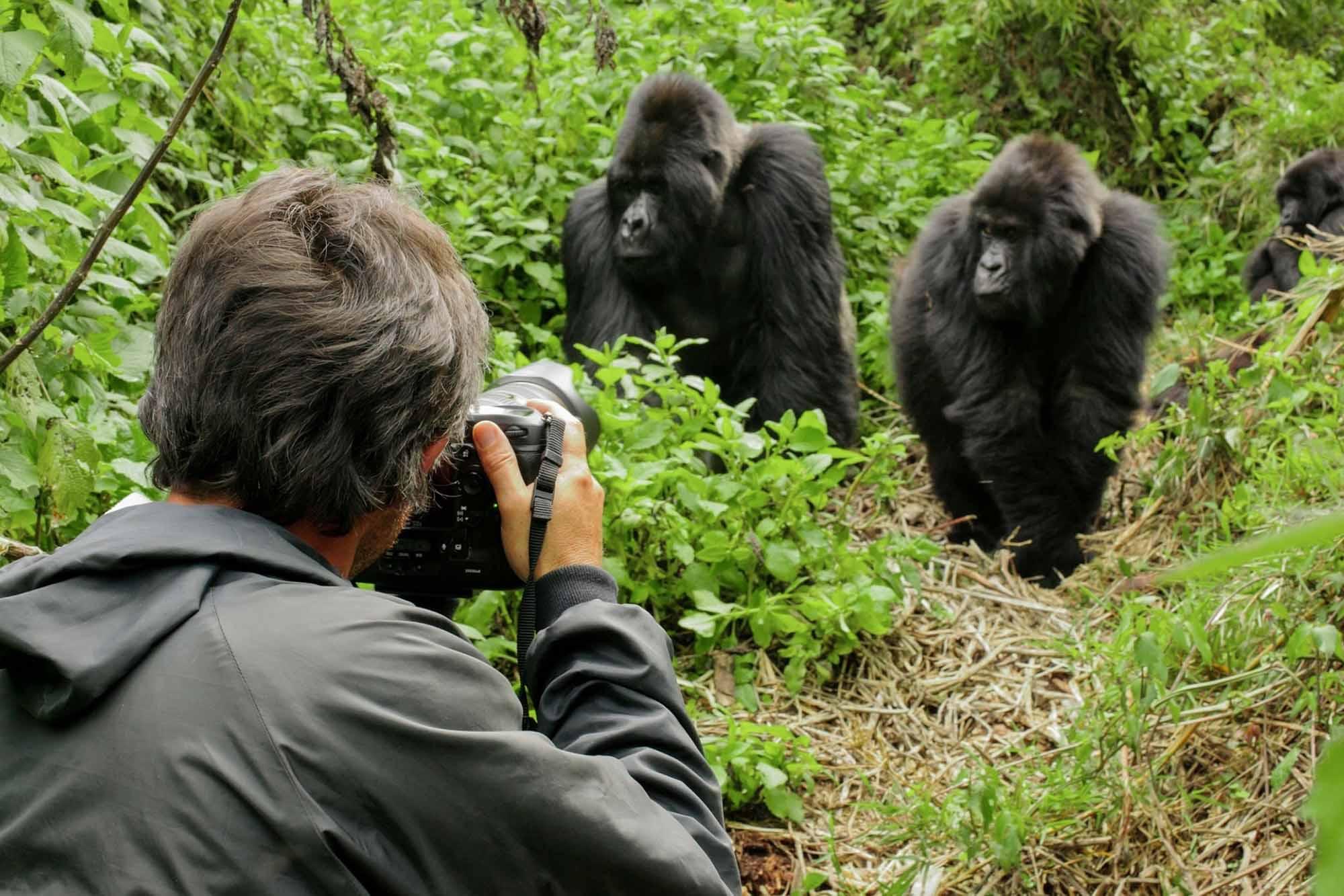 Wildlife photography safari